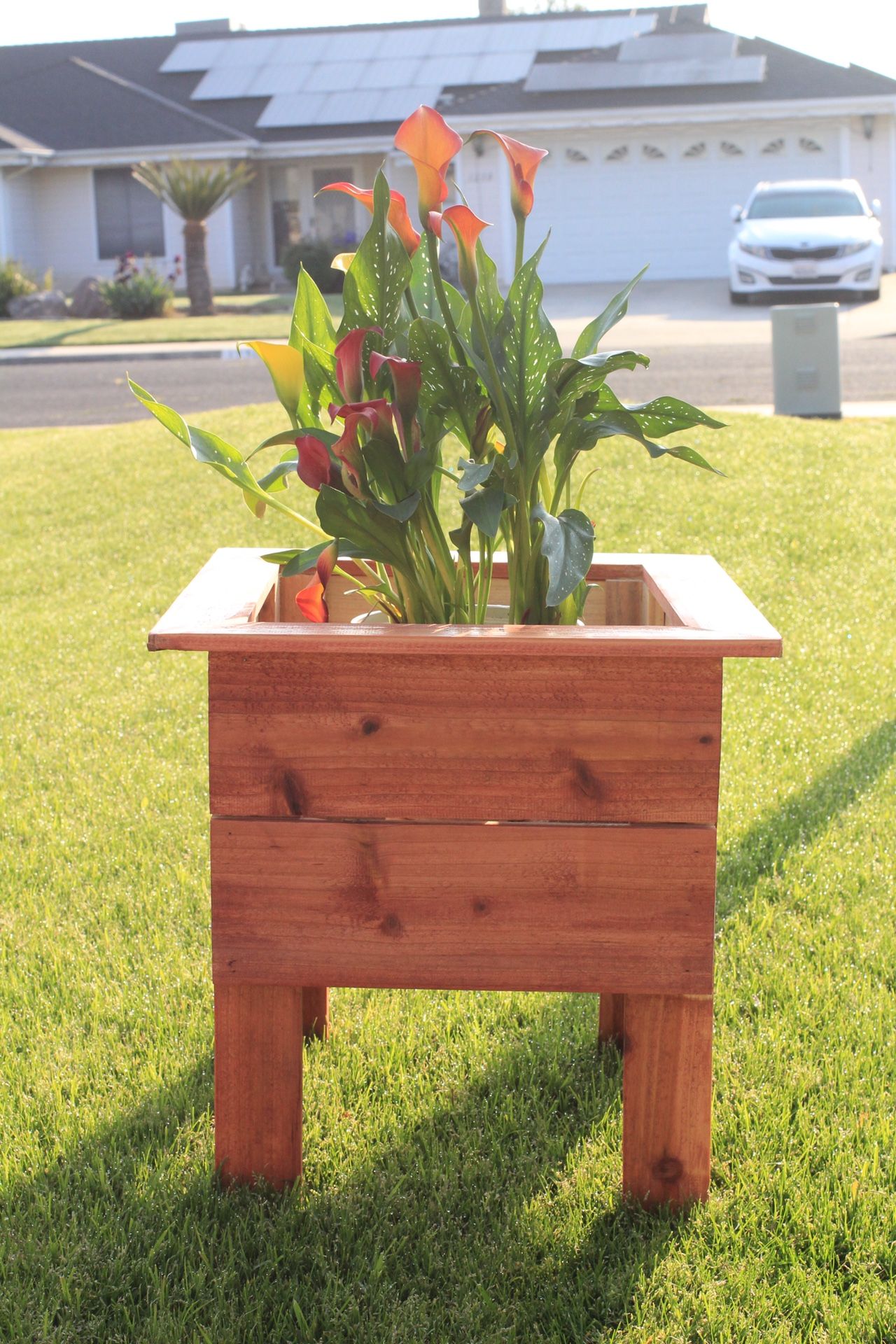 Cedar Planter Box