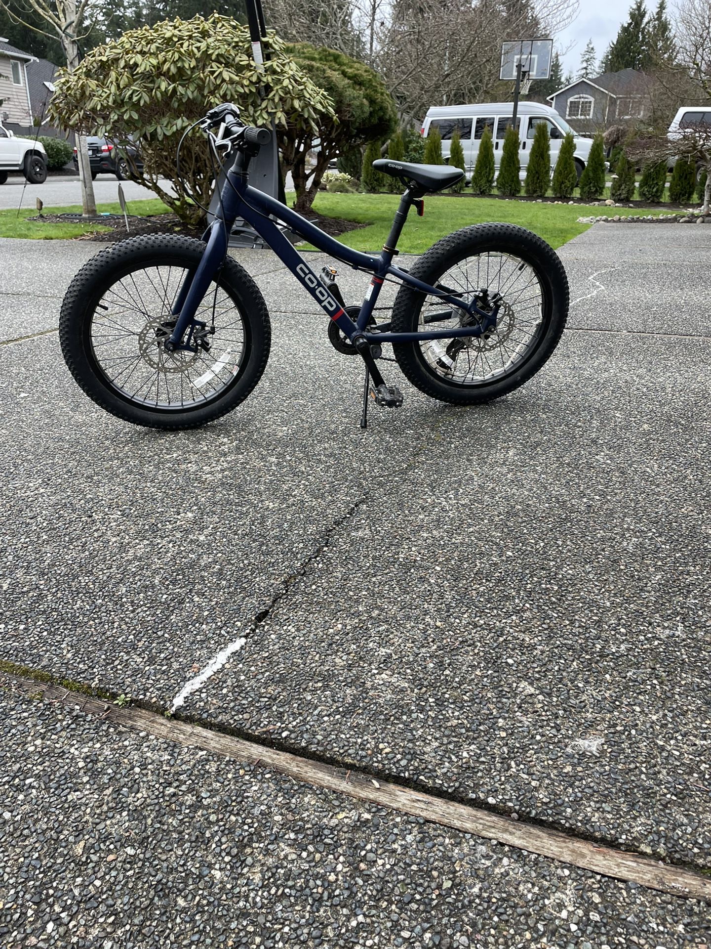 Kids Mountain Bike - REI Coop Rev 20