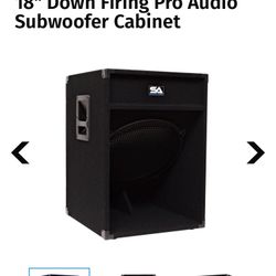 Seismic Audio 18” Scoop Subwoofer