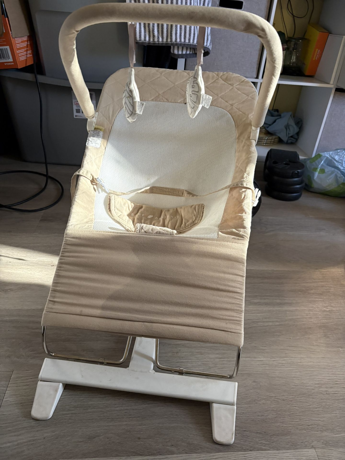 Baby Delight Bouncer