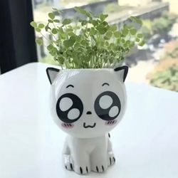 Big Eyed Cat Anime Ceramic Mini Succulent Pot 2.76"