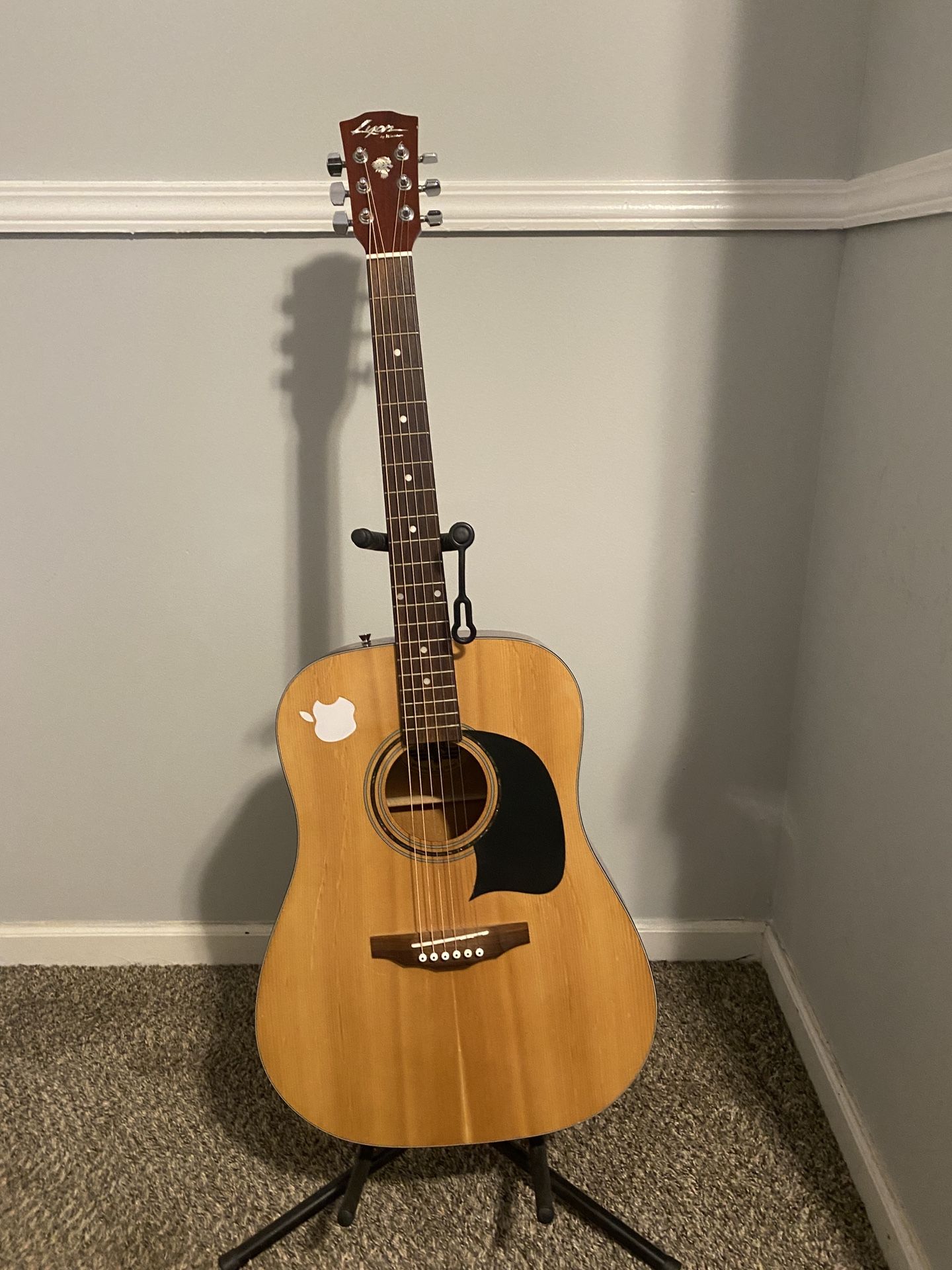 Acoustic Guitar
