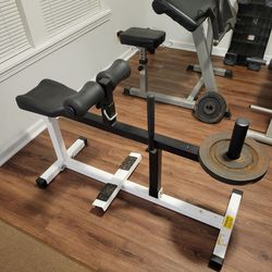 Seated calf machine