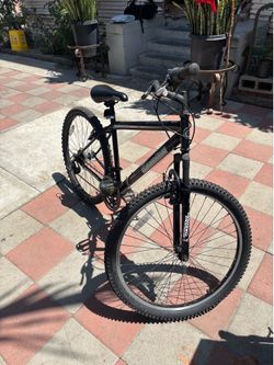 Roadmaster Granite Peak
