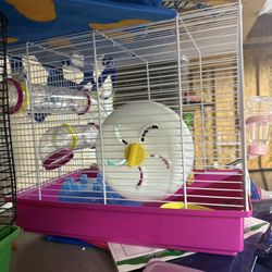 Two hamster cages, bedding, food, and supplies