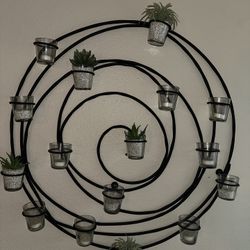 Wall Plant Display
