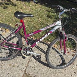 Magna Great Divide Mountain Bike 