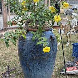 Ceramic Custom Made Jumbo Planter 