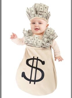 Money In The Bag Costume 