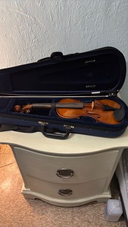 Viola with a blue case