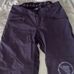 Endura Shorts