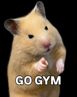 1997 Toyota Land Cruiser