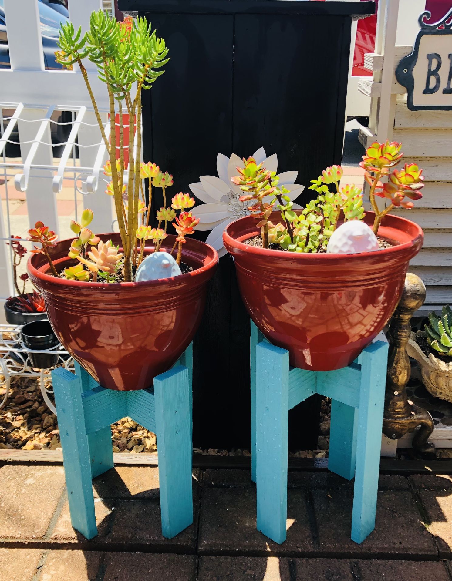 PLANT STANDS WITH POTTED PLANTS