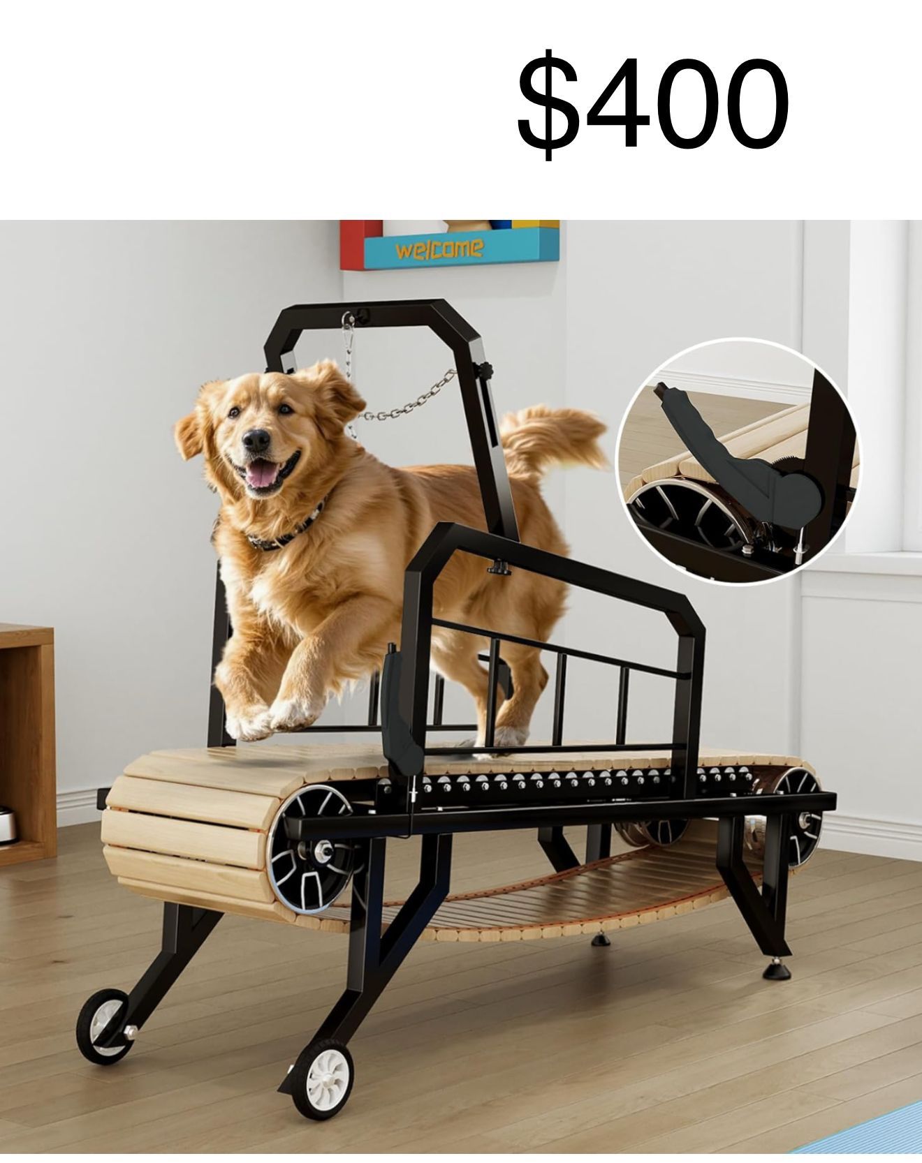Dog Treadmill