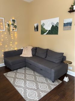 IKEA FRIHETEN Gray Pull-out Sectional
