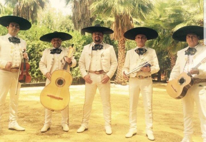 Violin Guitarra Mariachi