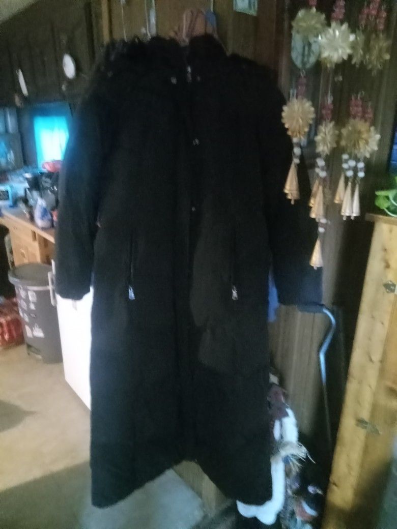 Lady's Coat Medium