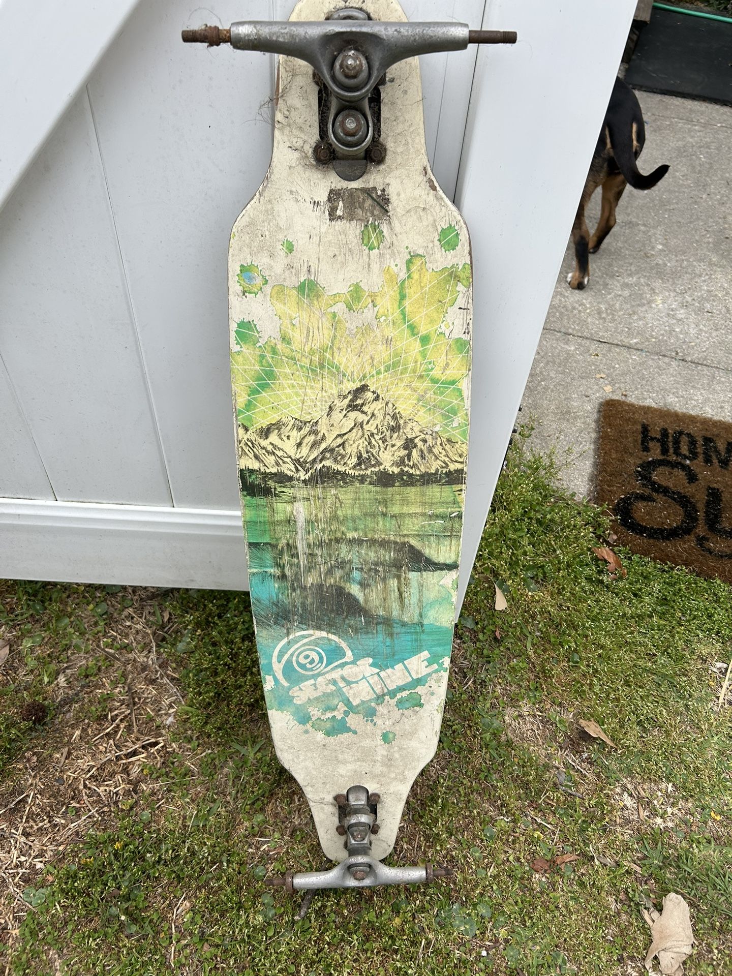 Sector 9 Longboard
