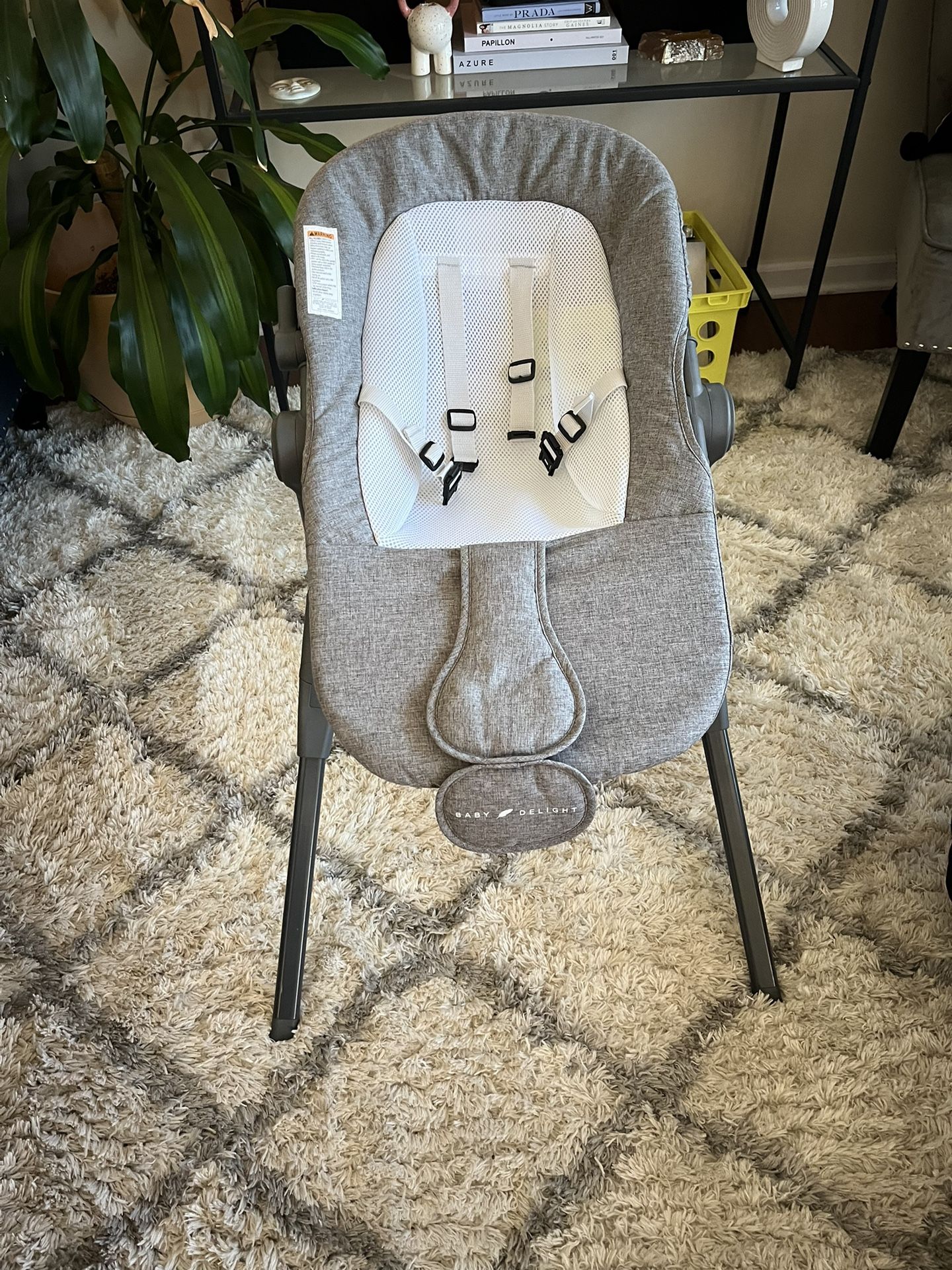 Baby Delight Adjustable Seat