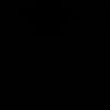 zy