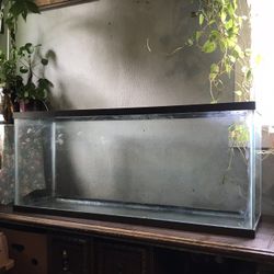 Reptile Tank
