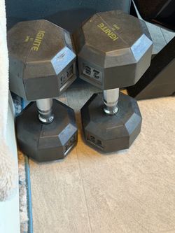 25 lbs Weights