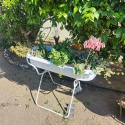 Big plant sale today Friday!!!!