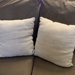 Two Beige Couch Pillows