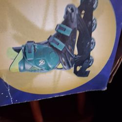 Roller Blades