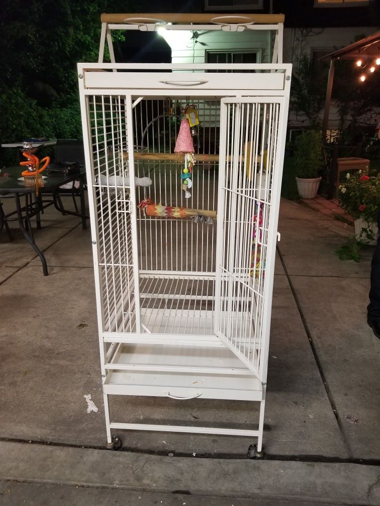 Bird Cage