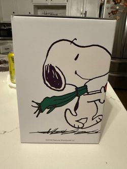 Snoopy/Penuts Starbucks plushie
