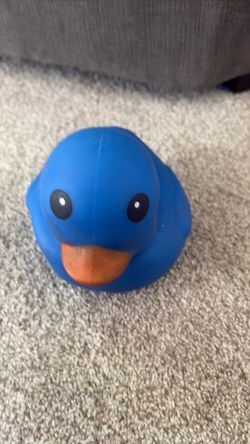 Duck squishy