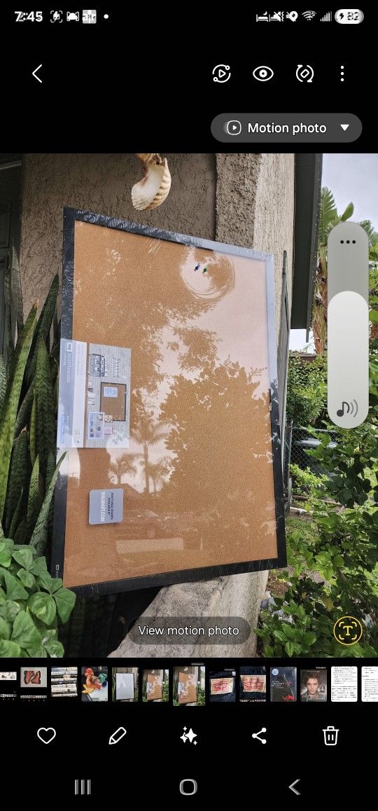 Cork Board, 24 X 36, New A S