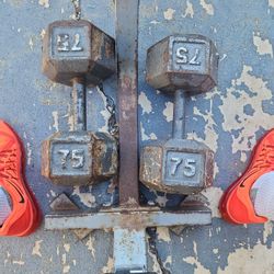 Dumbells 75 Lbs