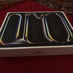 Ipad Pro 13" M4 Wifi+Cellular 256