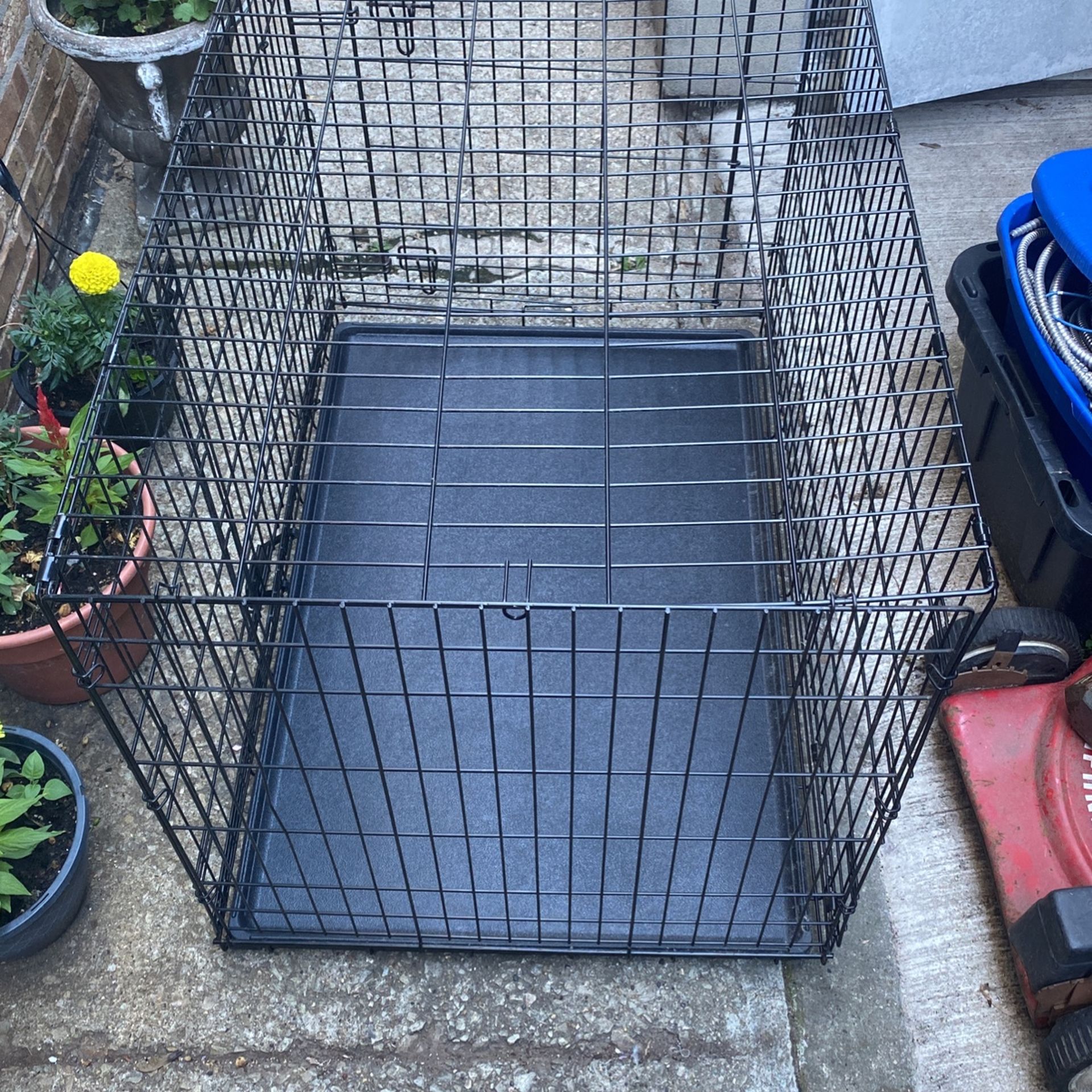 Dog Cage