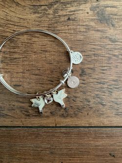 Alex and ani bracelet