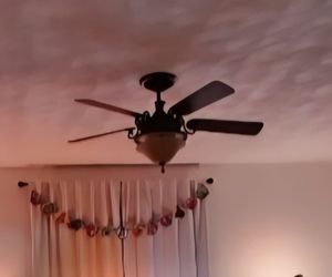 Hampton Bay 48” Ceiling Fan w/ Light & Remote