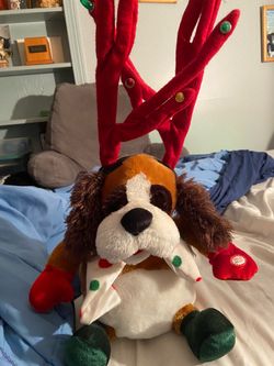Singing St Bernard