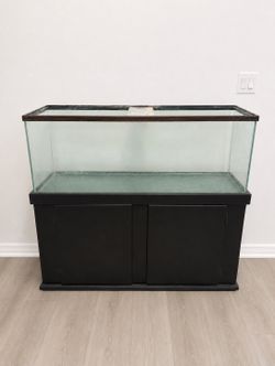 75 Gallon Aquarium Setup w/ Stand + Accessories – $250 OBO
