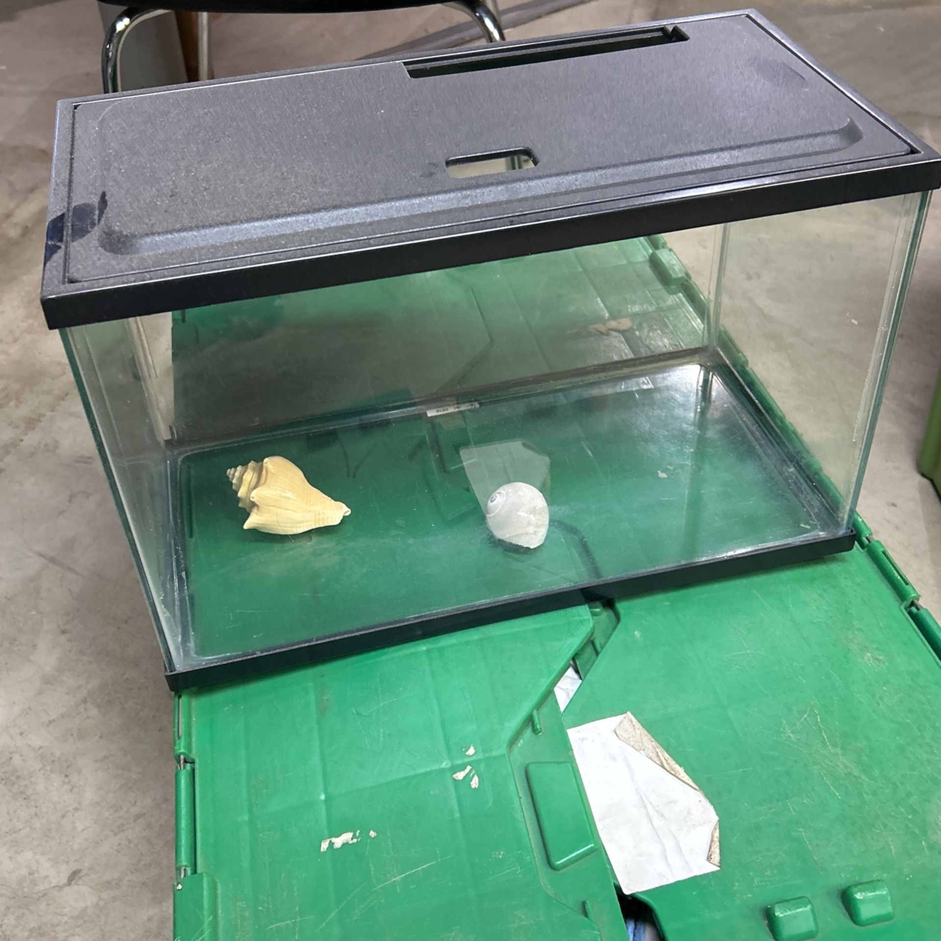 Glass Aquarium For Hermit Crabs