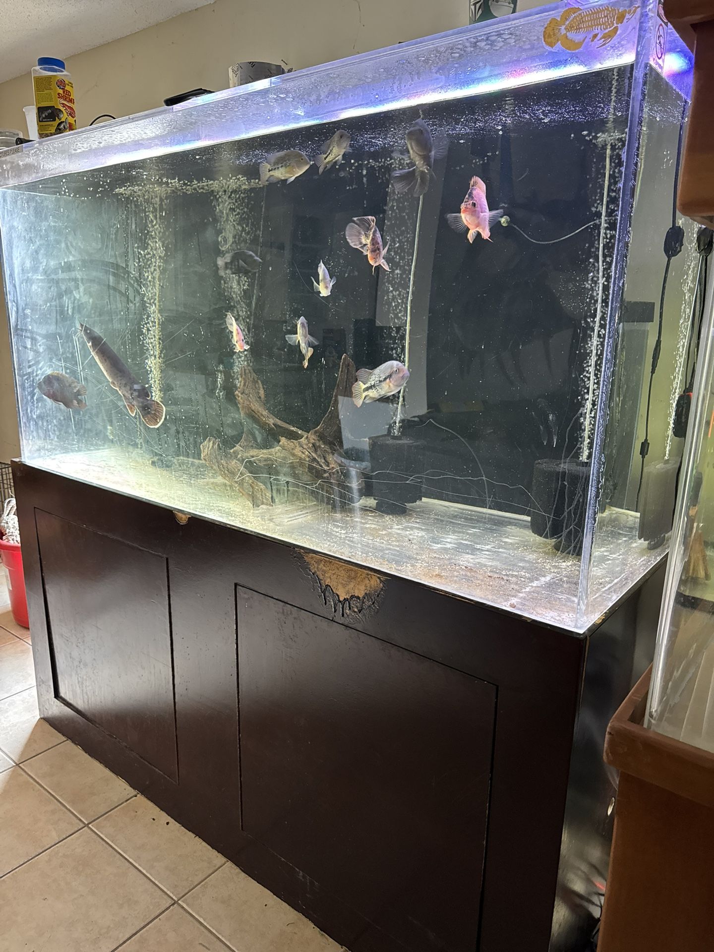 Fish Tank Aquarium 340 Gallon Acrylic