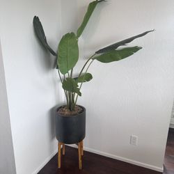 Decorative Indoor Faux Palm Plant 