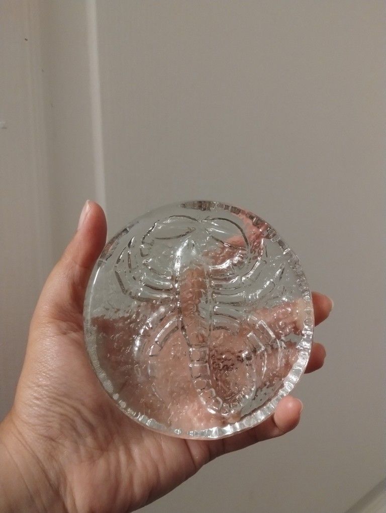 Clear Scorpion Paperweight