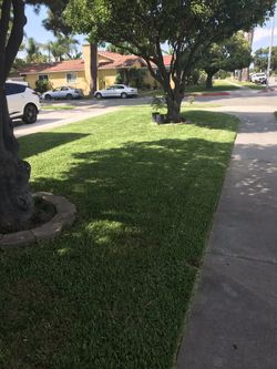 St.Augustine sod