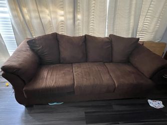6 Month Old Couches