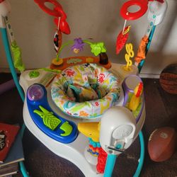 Baby Bouncer