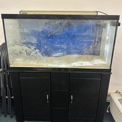 90 Gallon Fish Tank & Stand