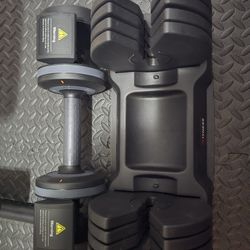 Workout Equipment 