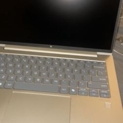 Brand NEW HP Laptop